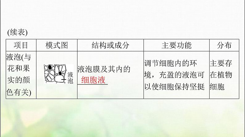 高考生物一轮复习必修1第3章第2节细胞器之间的分工合作课件07