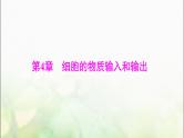 高考生物一轮复习必修1第4章细胞的物质输入和输出课件