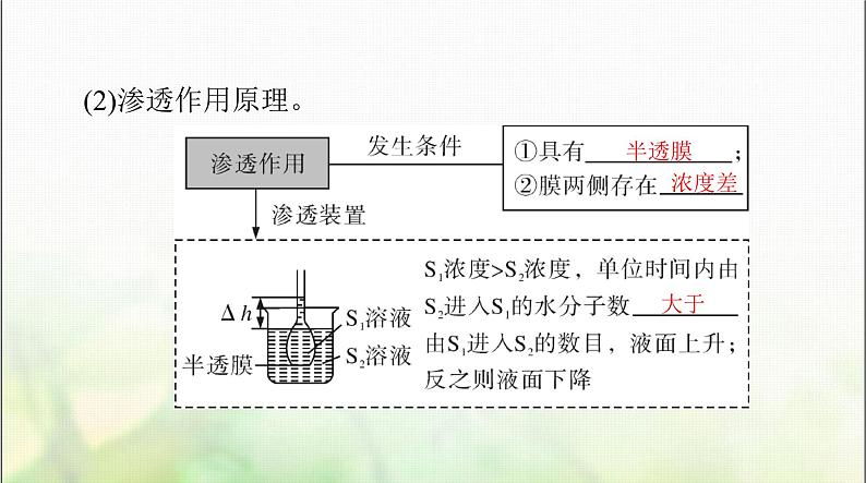 高考生物一轮复习必修1第4章细胞的物质输入和输出课件04