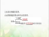 高考生物一轮复习必修1第4章细胞的物质输入和输出课件