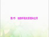 高考生物一轮复习必修1第5章第3节细胞呼吸的原理和应用课件