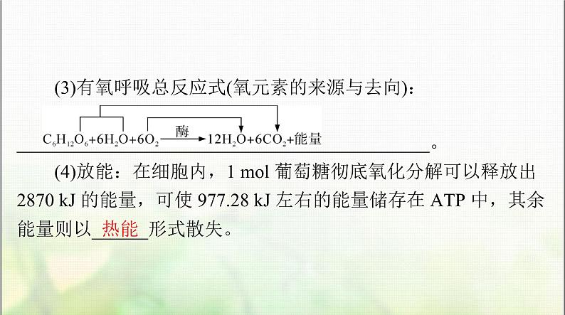 高考生物一轮复习必修1第5章第3节细胞呼吸的原理和应用课件04