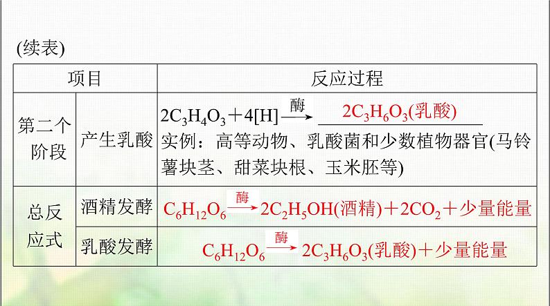 高考生物一轮复习必修1第5章第3节细胞呼吸的原理和应用课件07