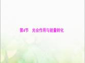 高考生物一轮复习必修1第5章第4节光合作用与能量转化课件
