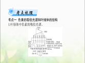 高考生物一轮复习必修1第5章第4节光合作用与能量转化课件