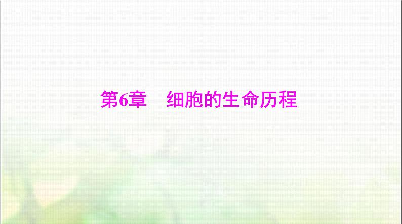 高考生物一轮复习必修1第6章第1节细胞的增殖课件第1页