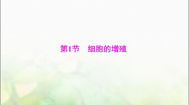 高考生物一轮复习必修1第6章第1节细胞的增殖课件第3页