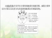 高考生物一轮复习必修1第6章第1节细胞的增殖课件