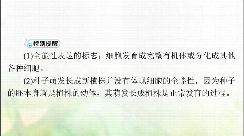 高考生物一轮复习必修1第6章第2、3节细胞的分化、细胞的衰老和死亡课件08