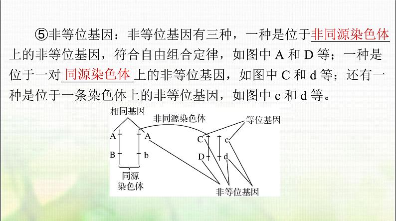 高考生物一轮复习必修2第1章第1节孟德尔的豌豆杂交实验(一)课件08