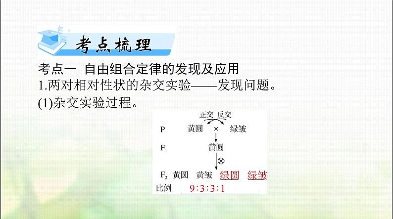 高考生物一轮复习必修2第1章第2节孟德尔的豌豆杂交实验(二)课件第2页