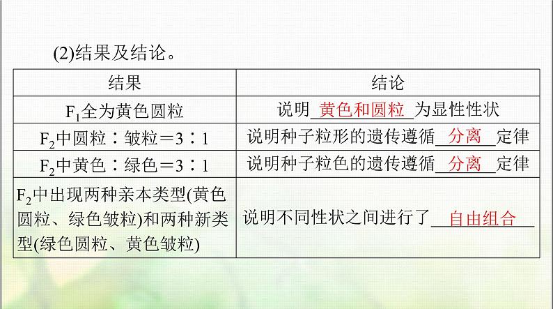 高考生物一轮复习必修2第1章第2节孟德尔的豌豆杂交实验(二)课件第3页