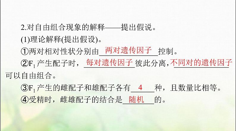 高考生物一轮复习必修2第1章第2节孟德尔的豌豆杂交实验(二)课件05