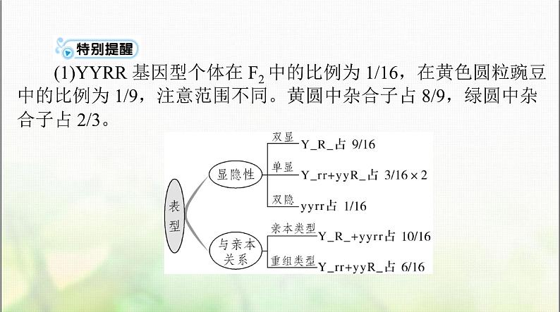 高考生物一轮复习必修2第1章第2节孟德尔的豌豆杂交实验(二)课件08