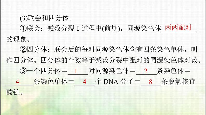 高考生物一轮复习必修2第2章第1节减数分裂和受精作用课件07