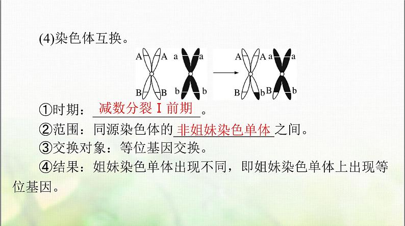 高考生物一轮复习必修2第2章第1节减数分裂和受精作用课件08