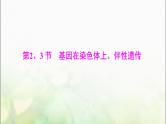 高考生物一轮复习必修2第2章第2、3节基因在染色体上、伴性遗传课件