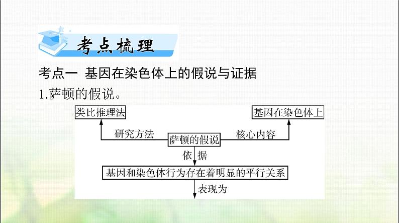 高考生物一轮复习必修2第2章第2、3节基因在染色体上、伴性遗传课件第2页