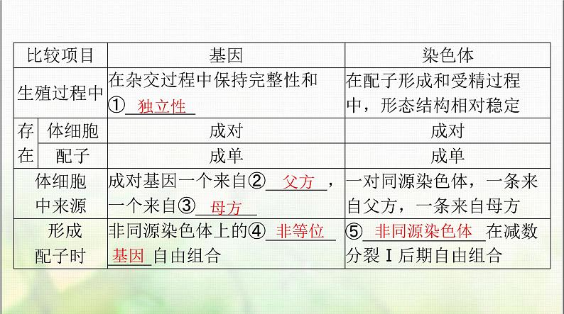 高考生物一轮复习必修2第2章第2、3节基因在染色体上、伴性遗传课件第3页