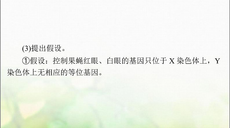 高考生物一轮复习必修2第2章第2、3节基因在染色体上、伴性遗传课件第5页