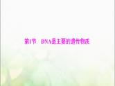 高考生物一轮复习必修2第3章第1节DNA是主要的遗传物质课件