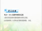 高考生物一轮复习必修2第3章第1节DNA是主要的遗传物质课件