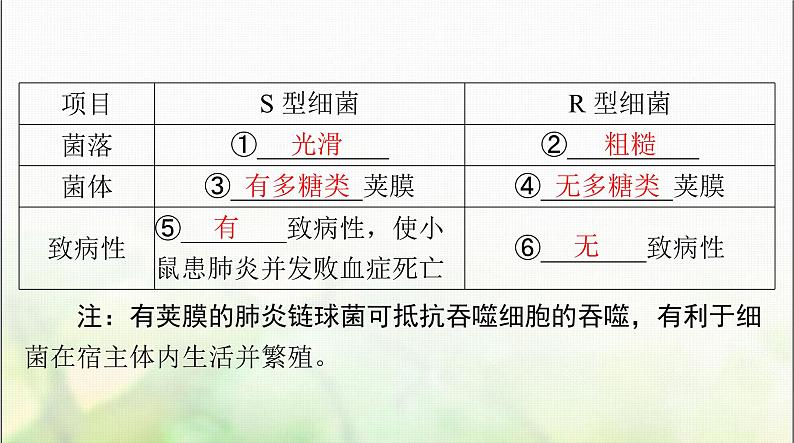 高考生物一轮复习必修2第3章第1节DNA是主要的遗传物质课件05