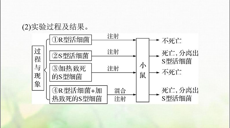 高考生物一轮复习必修2第3章第1节DNA是主要的遗传物质课件06