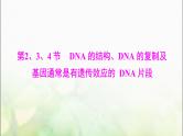 高考生物一轮复习必修2第3章第2、3、4节DNA的结构、DNA的复制及基因通常是有遗传效应的DNA片段课件