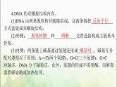 高考生物一轮复习必修2第3章第2、3、4节DNA的结构、DNA的复制及基因通常是有遗传效应的DNA片段课件