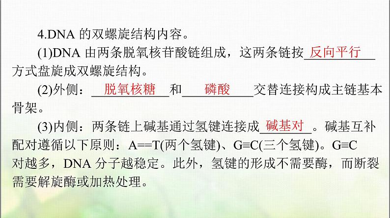 高考生物一轮复习必修2第3章第2、3、4节DNA的结构、DNA的复制及基因通常是有遗传效应的DNA片段课件第5页