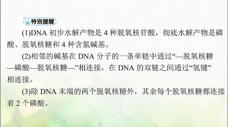 高考生物一轮复习必修2第3章第2、3、4节DNA的结构、DNA的复制及基因通常是有遗传效应的DNA片段课件第6页