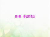 高考生物一轮复习必修2第4章基因的表达课件
