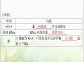 高考生物一轮复习必修2第4章基因的表达课件