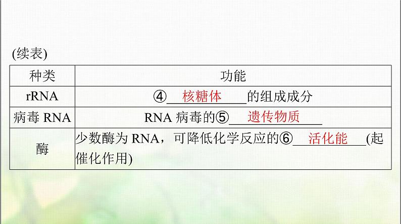 高考生物一轮复习必修2第4章基因的表达课件第4页