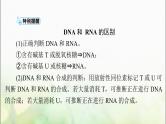 高考生物一轮复习必修2第4章基因的表达课件