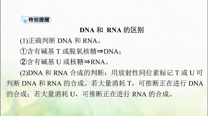 高考生物一轮复习必修2第4章基因的表达课件第5页