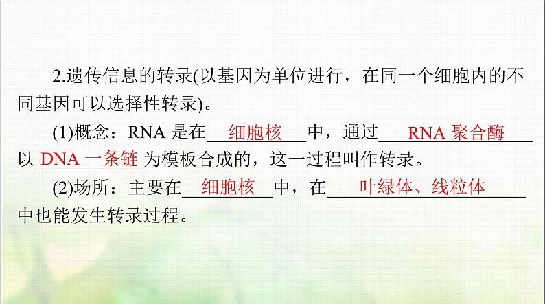 高考生物一轮复习必修2第4章基因的表达课件第6页