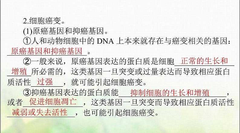 高考生物一轮复习必修2第5章第1节基因突变和基因重组课件第7页