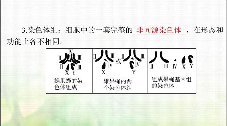 高考生物一轮复习必修2第5章第2节染色体变异课件第4页