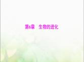 高考生物一轮复习必修2第6章生物的进化课件
