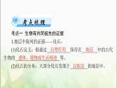 高考生物一轮复习必修2第6章生物的进化课件