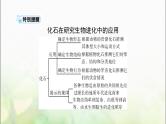 高考生物一轮复习必修2第6章生物的进化课件