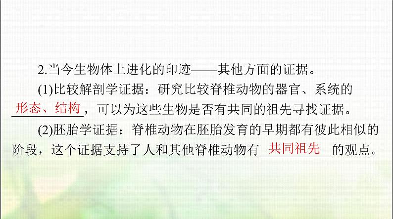 高考生物一轮复习必修2第6章生物的进化课件06