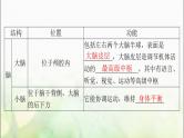 高考生物一轮复习选择性必修1第2章第1、2节神经调节的结构基础、神经调节的基本方式课件