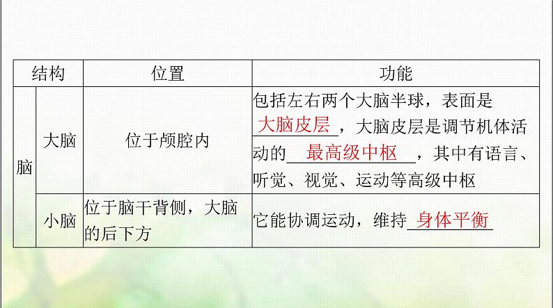 高考生物一轮复习选择性必修1第2章第1、2节神经调节的结构基础、神经调节的基本方式课件05