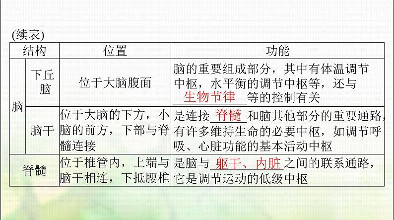 高考生物一轮复习选择性必修1第2章第1、2节神经调节的结构基础、神经调节的基本方式课件06