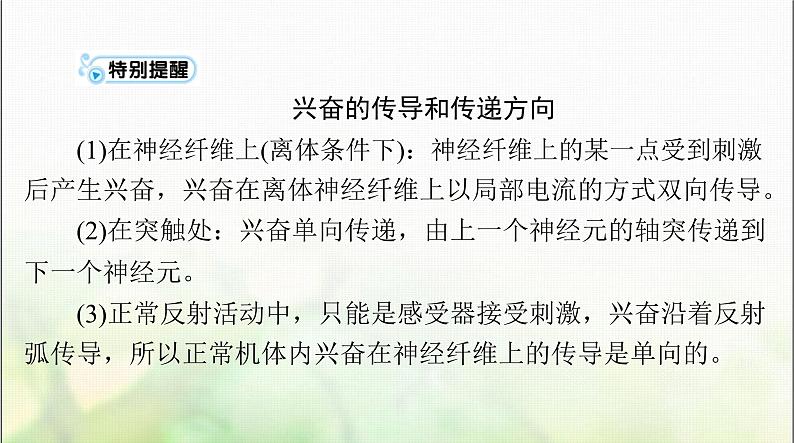 高考生物一轮复习选择性必修1第2章第3、4、5节神经冲动的产生和传导、神经系统的分级调节、人脑的高级功能课件07