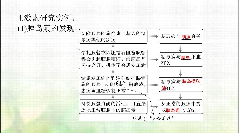 高考生物一轮复习选择性必修1第3章体液调节课件08