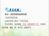 高考生物一轮复习选择性必修1第4章免疫调节课件